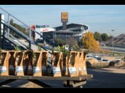 El Circuit de Barcelona-Catalunya impulsa la biodiversitat amb la plantació de 200 arbres
