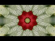 Julia Montilla presenta ‘Strawberry Fields’ a La Fabra Centre d’Art Contemporani