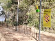 El Govern flexibilitza aquest dilluns les restriccions d’accés al medi natural establertes pel brot de pesta porcina