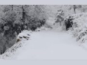 Alerten sobre els efectes de les nevades i el risc d’allaus a les carreteres de Catalunya