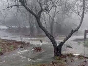 El 2025, any de precipitacions excepcionals al Parc Natural del Montseny