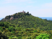 El Pla de Protecció del Montseny inclou més de 100 propostes de ciutadans