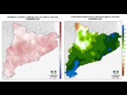 El desembre de 2025 registra temperatures excepcionals i un alt volum de precipitacions a Catalunya