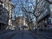L’Ajuntament de Manresa inicia demà la substitució de plataners al Passeig