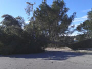Fort vent previst demà al litoral i prelitoral central i sud de Catalunya