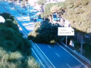 La caiguda d’arbres talla diverses carreteres i el fort vent afecta la circulació en d’altres