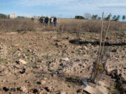 El Govern prepara un pla per protegir i renaturalitzar 91 municipis del litoral davant els riscos climàtics fins al 2100