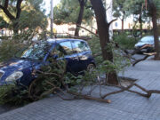 La majoria d’universitats informen de normalitat sense incidents rellevants als seus campus tot i les ventades