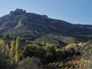 Avanç cap a la renovació de la Carta Europea de Turisme Sostenible al Parc Natural de Sant Llorenç del Munt i l’Obac