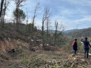 Increment de les mesures per prevenir incendis a la Plana de Vic