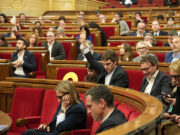 El Parlament insta el Govern a fixar un pla de suport al sector forestal amb fins a 36 MEUR anuals els pròxims cinc anys