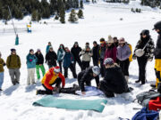 El Laboratori de Cinema a la Neu aterra al Berguedà amb un programa amb xerrades, mentories i deu projectes seleccionats