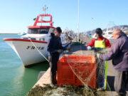 Ordeig vol impulsar els joves pescadors amb un nou pla per garantir el futur del sector pesquer