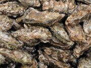 El mercat urbà impulsa el creixement de les ostres