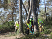 Llançament de les Primeres Taules de Voluntariat Ambiental a la Xarxa de Parcs Naturals