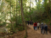 Diverses activitats per explorar el Montseny al llarg de l’any