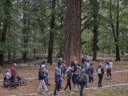 Nous itineraris teatralitzats accessibles que fusionen natura i arts escèniques a la Xarxa de Parcs Naturals
