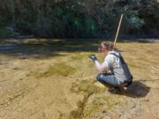 Un estudi de la UVic-UCC destaca que les pluges del 2025 han millorat la qualitat ecològica dels rius d’Osona i Lluçanès