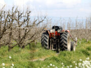La renda agrària catalana assoleix el 2025 el nivell més alt en 20 anys per les bones collites
