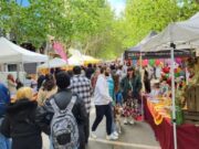 Manresa es prepara per a un Sant Jordi 2026 memorables amb cultura, flors i talent local