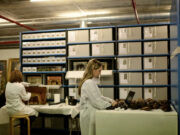 El Museu de les Arts Escèniques obté una nominació als Premis Talía 2026