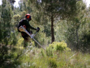 El Govern defineix 14 eixos de confinament d’incendis al territori per evitar que el foc salti d’un massís a un altre