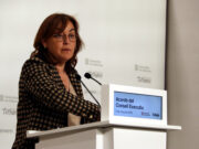 Paneque aposta perquè l’eina substituta del Consorci d’Inversions no hagi de passar pel Congrés