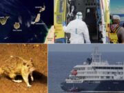 Experts alerten del risc sanitari i reputacional del creuer afectat per hantavirus