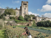 Noves subvencions per impulsar actuacions a la xarxa de Parcs Naturals de Barcelona