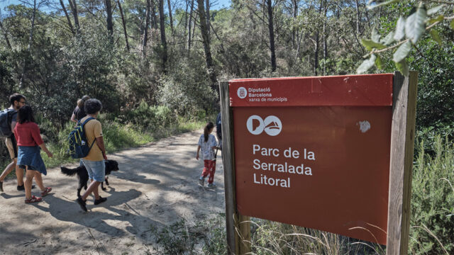 noticia_1782220512.jpg