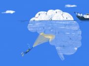 El vincle entre el cervell, el metabolisme i la infertilitat