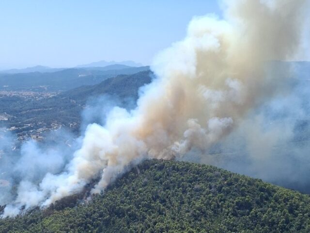 noticia_1783355479.jpg