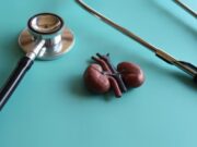 L’hospital universitari la llum reforça la detecció precoç de la malaltia renal crònica amb un nou model assistencial multidisciplinari