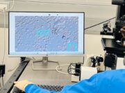 La intel·ligència artificial reforça la feina dels embriòlegs a IVI Barcelona