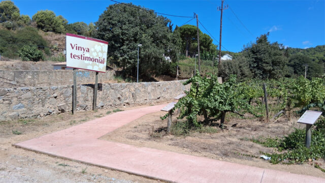 noticia_1789564535.jpg