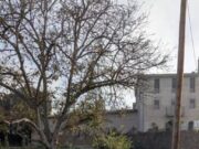 Millores programades als camins rurals de Manresa per la propera setmana