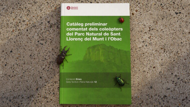 noticia_1793110455.jpg
